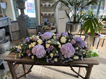 Hydrangea Spray
